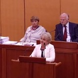 Višnja Tafra, zamjenica ministra obrane, pred saborskim zastupnicima