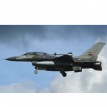 Rabljeni F-16, lijek za sve bolesti