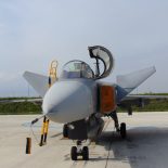 Gripen na Plesu, odluka "na grani"