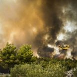 Vatrogascima nagrade, sustavu reorganizacija