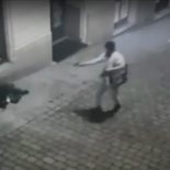 Terorizam u Beču
