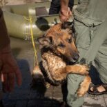 478. dan rata u Ukrajini - Zaporižje otkrilo snagu ruskog otpora, stari problem ponovno je aktualan